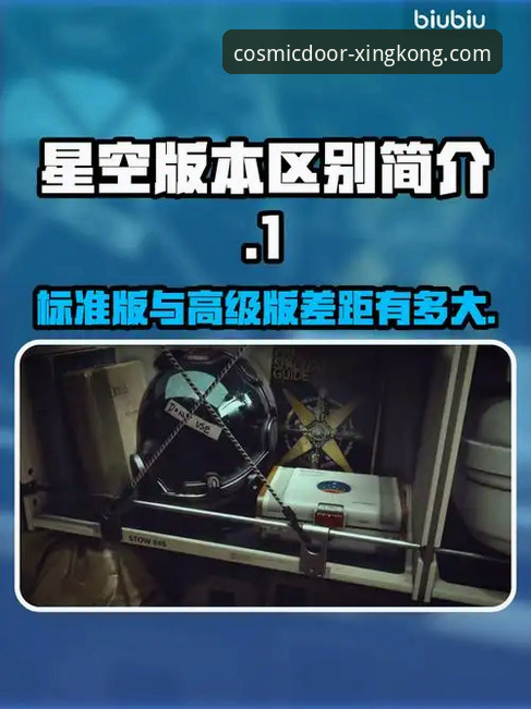 星空入口平台：官方版 vs 第三方渠道，哪个更值得信赖？一份超详细使用指南